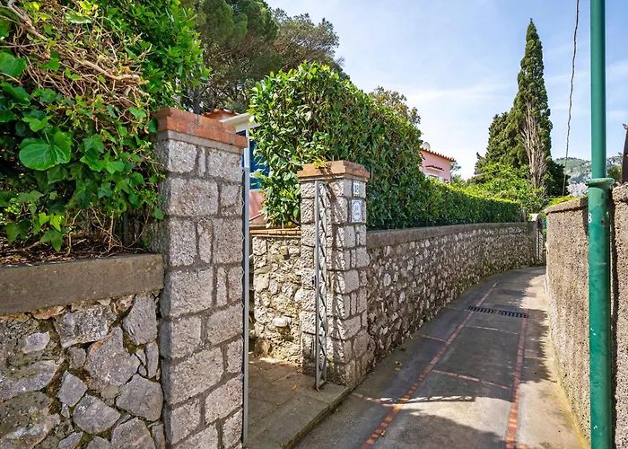 Caterina * 카프리